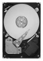 Жесткие диски - Maxtor STM31000528AS