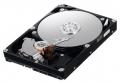 Жесткие диски - Samsung HD161GJ
