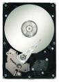 Жесткие диски - Seagate ST31000340NS