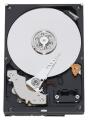 Жесткие диски - Western Digital WD10EAVS